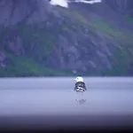 Lofoten Panoramic Luxury With Sauna Москенес