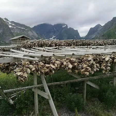 Holiday home Lofoten Panoramic Luxury With Sauna