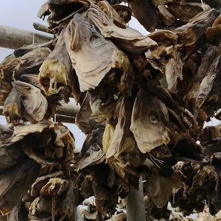 Lofoten Panoramic Luxury With Sauna Moskenes